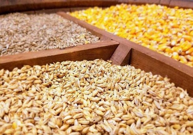 تصویر شاخص